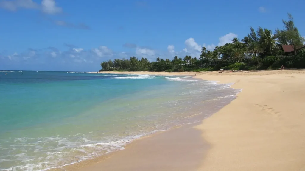 spiagge Oahu Hawaii