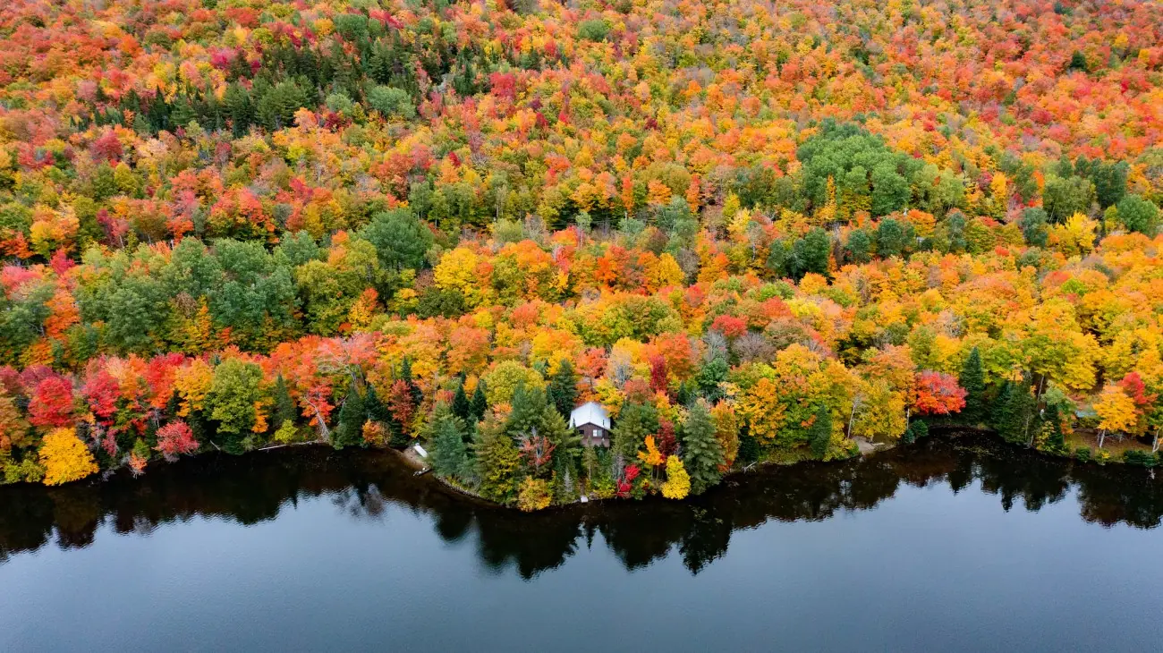 Vermont natura